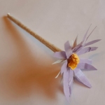 Frühlingsblüten_4