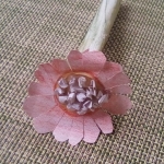 Frühlinsblüten_6
